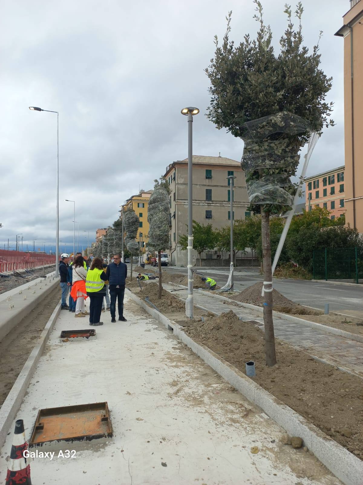 Lungomare Canepa piantumazione 2 