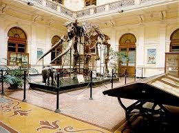 Museo Doria sala dell'elefante antico italico