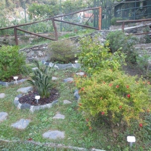 giardini Canepa