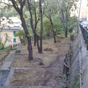 Area verde via S.B del Fossato