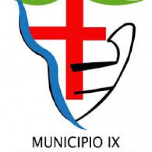logo municipio IX
