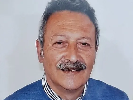 Foto Consigliere Del Gatto