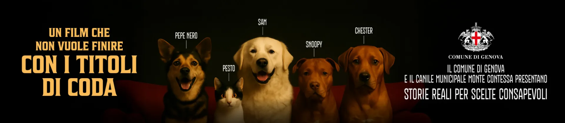 Adotta un animale in modo consapevole